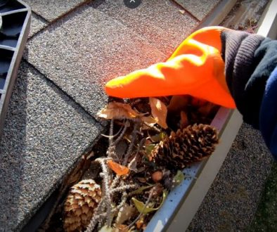local-gutter-cleaning-services-in-az